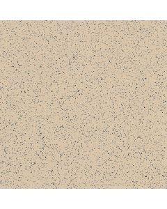 Stonetex Sandstone Tan 2x2